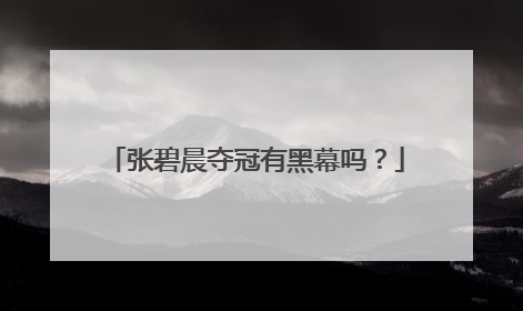 张碧晨夺冠有黑幕吗?