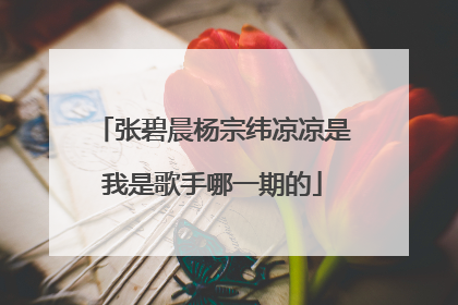 张碧晨杨宗纬凉凉是我是歌手哪一期的