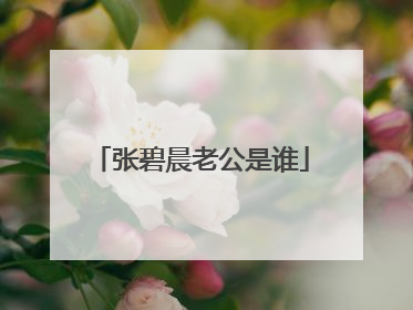 张碧晨老公是谁