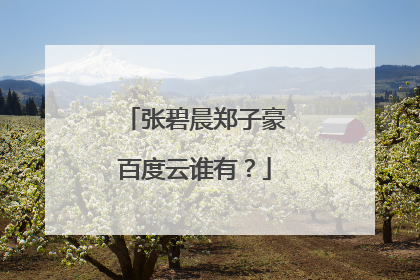 张碧晨郑子豪百度云谁有?