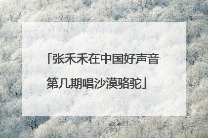 张禾禾在中国好声音第几期唱沙漠骆驼