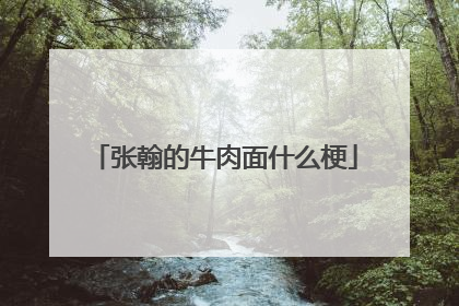 张翰的牛肉面什么梗