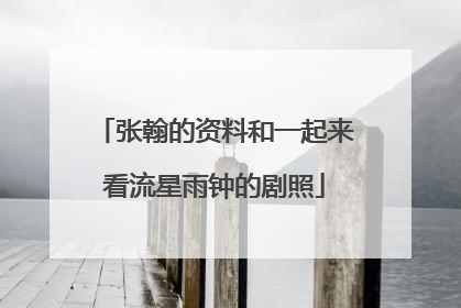 张翰的资料和一起来看流星雨钟的剧照