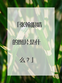 张翰眼睛的图片是什么？
