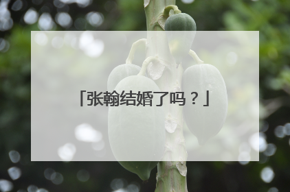 张翰结婚了吗?