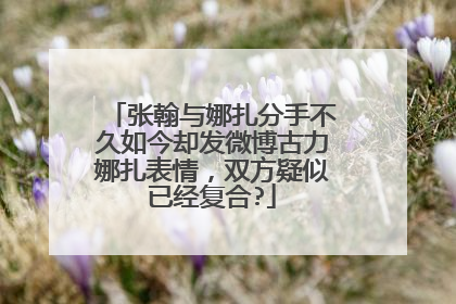 张翰与娜扎分手不久如今却发微博古力娜扎表情，双方疑似已经复合?