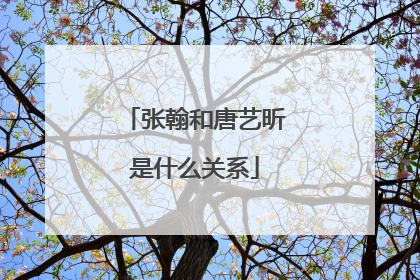张翰和唐艺昕是什么关系