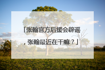 张翰官方后援会辟谣,张翰最近在干嘛?
