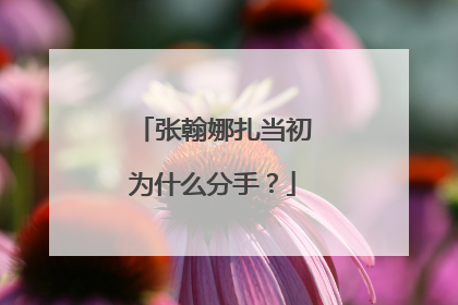 张翰娜扎当初为什么分手？