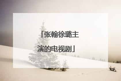 张翰徐璐主演的电视剧