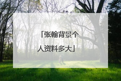 张翰背景个人资料多大