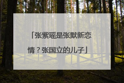 张紫瑶是张默新恋情？张国立的儿子