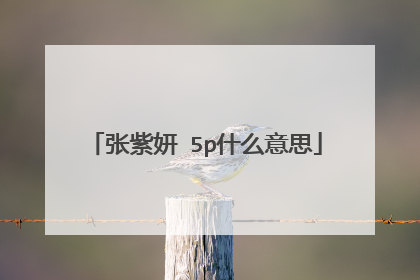 张紫妍 5p什么意思