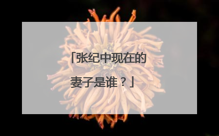 张纪中现在的妻子是谁？