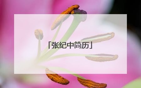 张纪中简历