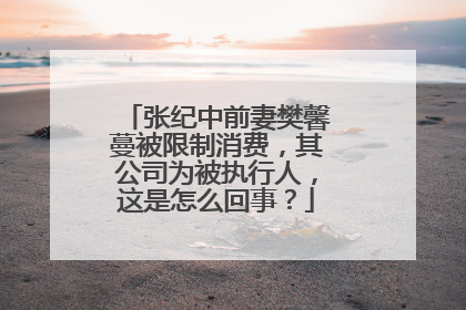 张纪中前妻樊馨蔓被限制消费，其公司为被执行人，这是怎么回事？