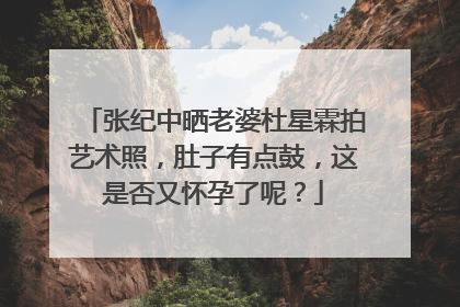 张纪中晒老婆杜星霖拍艺术照，肚子有点鼓，这是否又怀孕了呢？
