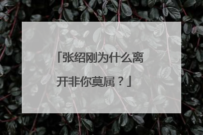 张绍刚为什么离开非你莫属?