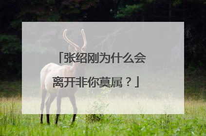 张绍刚为什么会离开非你莫属?