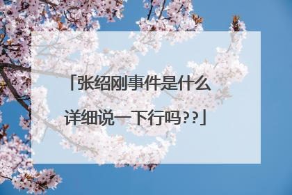张绍刚事件是什么 详细说一下行吗??