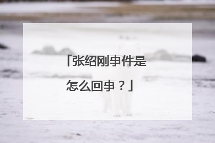 张绍刚事件是怎么回事?