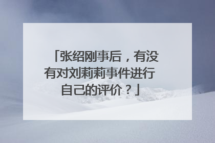 张绍刚事后，有没有对刘莉莉事件进行自己的评价？