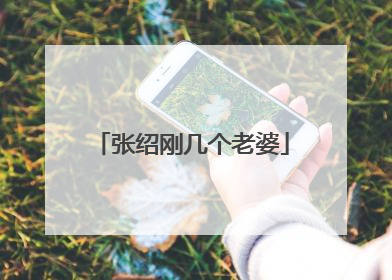 张绍刚几个老婆