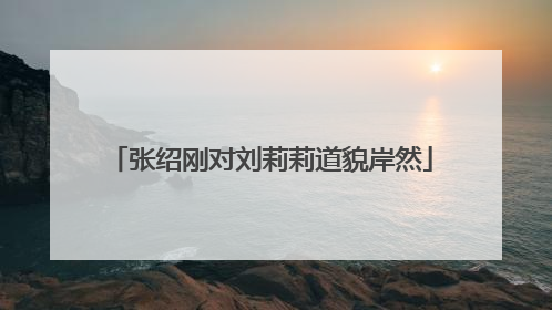 张绍刚对刘莉莉道貌岸然