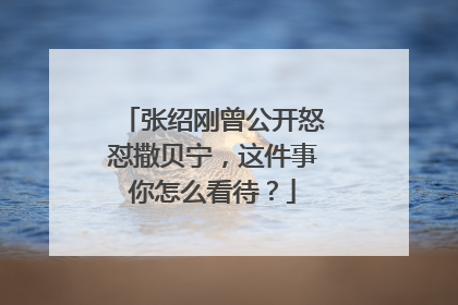 张绍刚曾公开怒怼撒贝宁，这件事你怎么看待？
