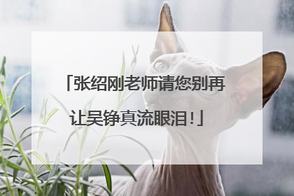 张绍刚老师请您别再让吴铮真流眼泪!