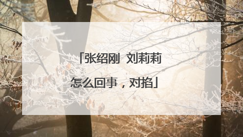 张绍刚 刘莉莉怎么回事,对掐