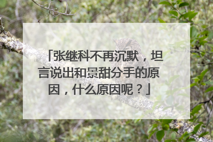 张继科不再沉默，坦言说出和景甜分手的原因，什么原因呢？