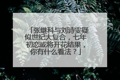 张继科与刘诗雯疑似世纪大复合,七年初恋或将开花结果,你有什么看法?