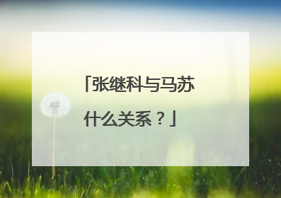 张继科与马苏什么关系?
