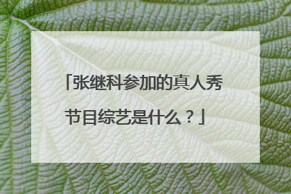 张继科参加的真人秀节目综艺是什么？