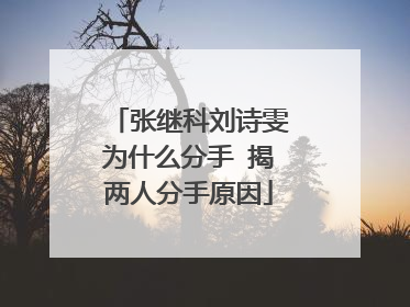 张继科刘诗雯为什么分手 揭两人分手原因