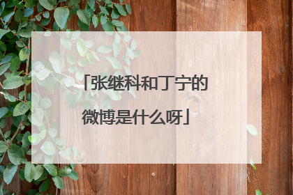张继科和丁宁的微博是什么呀