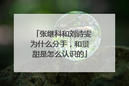 张继科和刘诗雯为什么分手，和景甜是怎么认识的