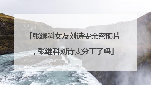 张继科女友刘诗雯亲密照片,张继科刘诗雯分手了吗