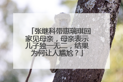张继科带惠瑞琪回家见母亲，母亲表示儿子独一无二，结果为何让人尴尬？