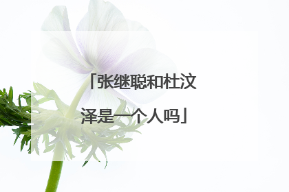 张继聪和杜汶泽是一个人吗