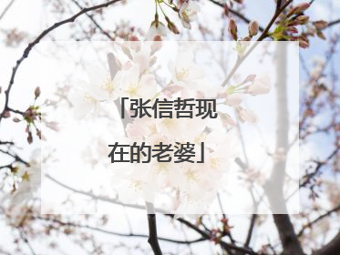 张信哲现在的老婆