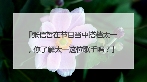 张信哲在节目当中搭档太一，你了解太一这位歌手吗？