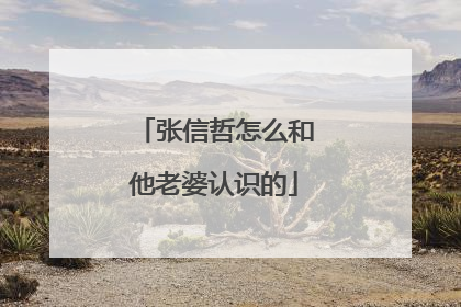 张信哲怎么和他老婆认识的