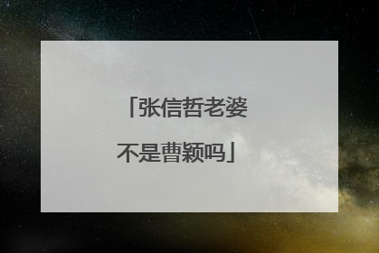 张信哲老婆不是曹颖吗