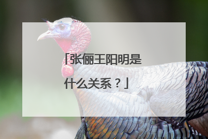 张俪王阳明是什么关系?