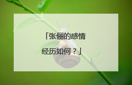 张俪的感情经历如何?