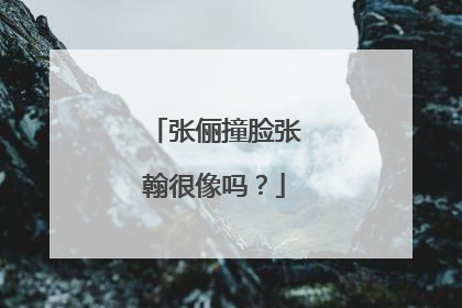 张俪撞脸张翰很像吗？