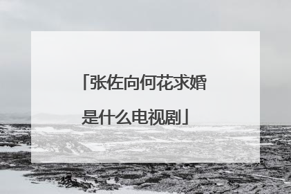 张佐向何花求婚是什么电视剧