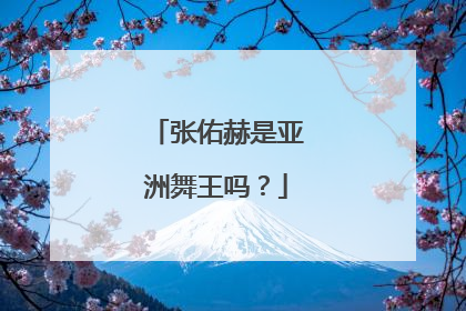 张佑赫是亚洲舞王吗?